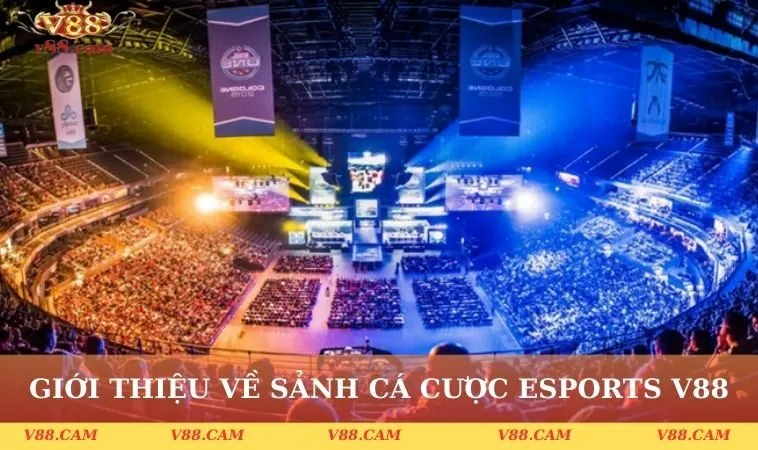 gioi thieu ve sanh ca cuoc truc tuyen esports v88 Giới thiệu về sảnh cá cược trực tuyến Esports V88