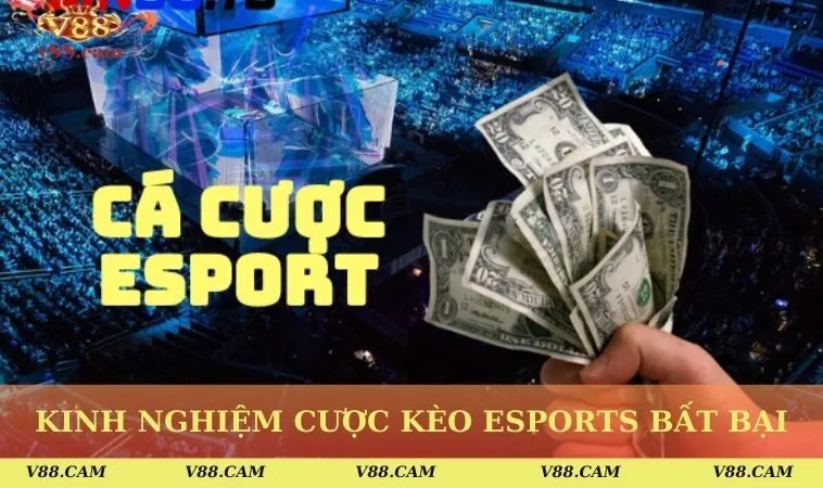 kinh nghiem cuoc keo esports bat bai tu cao thu Kinh nghiệm cược kèo Esports bất bại từ cao thủ